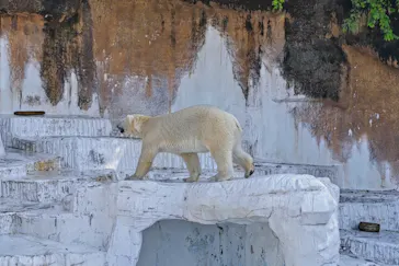天王寺動物園に投稿された画像（2023/5/5）