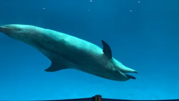 名古屋港水族館に投稿された画像（2023/5/5）