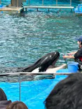 名古屋港水族館に投稿された画像（2023/5/5）