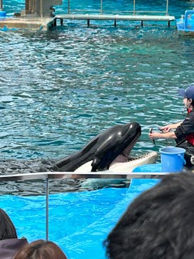 名古屋港水族館に投稿された画像（2023/5/5）