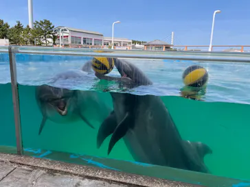 横浜・八景島シーパラダイスに投稿された画像（2023/5/5）
