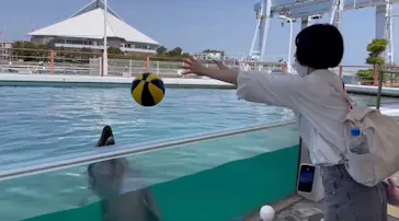 横浜・八景島シーパラダイスに投稿された画像（2023/5/5）