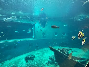 箱根園水族館に投稿された画像（2023/5/5）