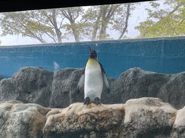 箱根園水族館に投稿された画像（2023/5/5）
