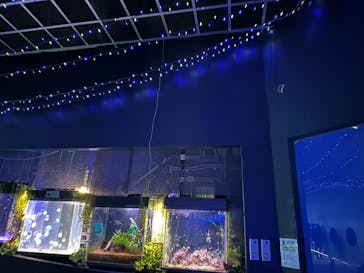 箱根園水族館に投稿された画像（2023/5/5）