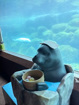 箱根園水族館に投稿された画像（2023/5/5）