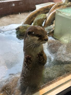 箱根園水族館に投稿された画像（2023/5/5）