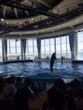 アクアワールド茨城県大洗水族館に投稿された画像（2023/5/5）