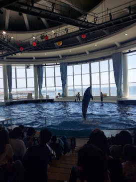 アクアワールド茨城県大洗水族館に投稿された画像（2023/5/5）