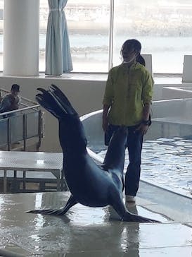 アクアワールド茨城県大洗水族館に投稿された画像（2023/5/5）