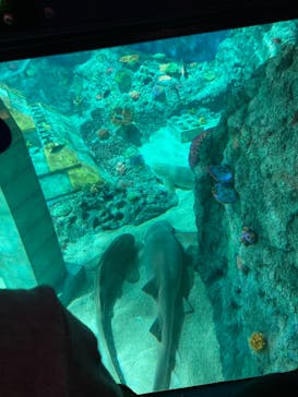 レゴランドⓇ・ジャパン・リゾートに投稿された画像（2023/5/5）