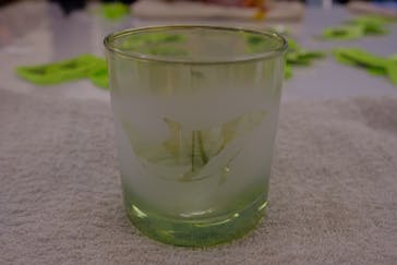 サンドブラスト本部教室 砂で削るガラス工芸教室に投稿された画像（2023/5/5）