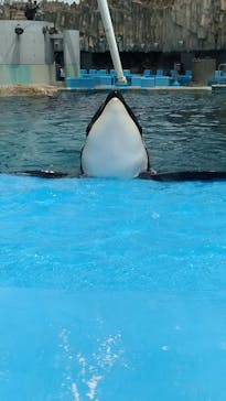 名古屋港水族館に投稿された画像（2023/5/5）