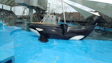 名古屋港水族館に投稿された画像（2023/5/5）