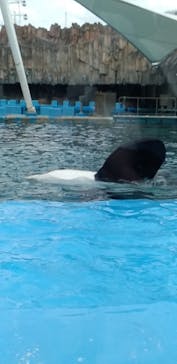 名古屋港水族館に投稿された画像（2023/5/5）