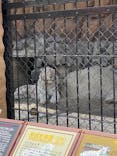 東武動物公園に投稿された画像（2023/5/5）