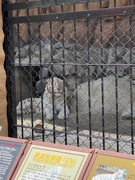 東武動物公園に投稿された画像（2023/5/5）