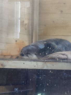 アクアワールド茨城県大洗水族館に投稿された画像（2023/5/5）