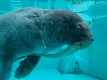 南知多ビーチランド＆南知多おもちゃ王国に投稿された画像（2023/5/5）