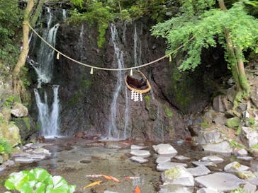 箱根湯本温泉 天成園に投稿された画像（2023/5/5）