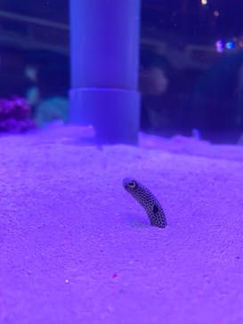 南知多ビーチランド＆南知多おもちゃ王国に投稿された画像（2023/5/5）