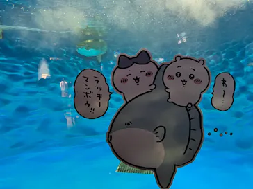 仙台うみの杜水族館に投稿された画像（2023/5/5）