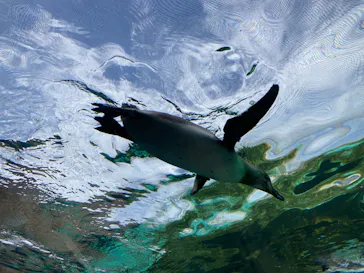 天王寺動物園に投稿された画像（2023/5/5）