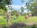 天王寺動物園に投稿された画像（2023/5/5）