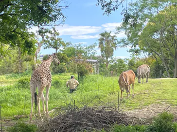 天王寺動物園に投稿された画像（2023/5/5）