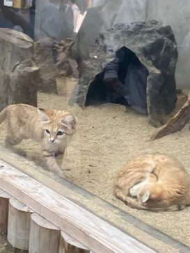 神戸どうぶつ王国に投稿された画像（2023/5/5）