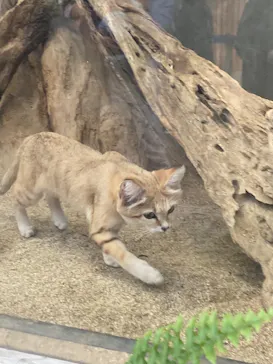 神戸どうぶつ王国に投稿された画像（2023/5/5）