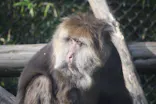 よこはま動物園ズーラシアに投稿された画像（2023/5/5）