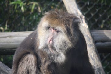 よこはま動物園ズーラシアに投稿された画像（2023/5/5）