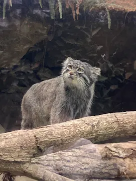神戸どうぶつ王国に投稿された画像（2023/5/5）