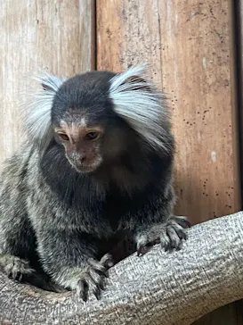 神戸どうぶつ王国に投稿された画像（2023/5/5）