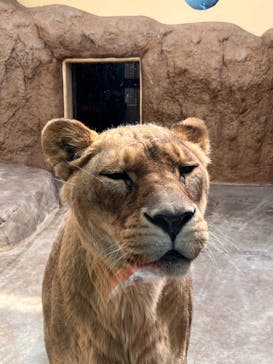 日立市かみね動物園に投稿された画像（2023/5/5）