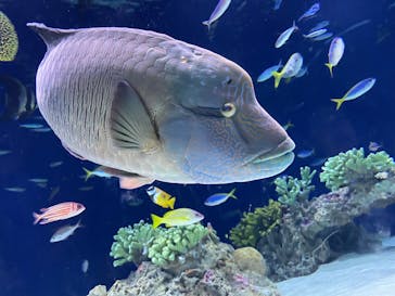 マリンワールド海の中道に投稿された画像（2023/5/5）