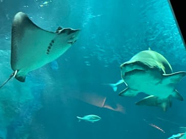 マリンワールド海の中道に投稿された画像（2023/5/5）