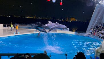 マリンワールド海の中道に投稿された画像（2023/5/5）