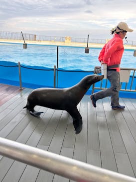 マリンワールド海の中道に投稿された画像（2023/5/5）