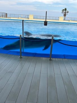 マリンワールド海の中道に投稿された画像（2023/5/5）