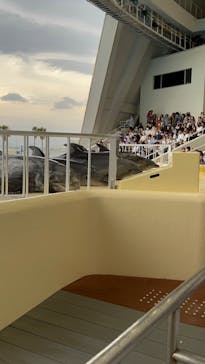 マリンワールド海の中道に投稿された画像（2023/5/5）