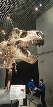 特別展「恐竜博2023」に投稿された画像（2023/5/5）