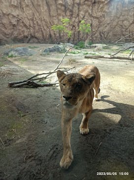 日立市かみね動物園に投稿された画像（2023/5/5）