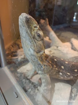 日立市かみね動物園に投稿された画像（2023/5/5）