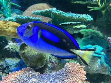 サンシャイン水族館に投稿された画像（2023/5/5）