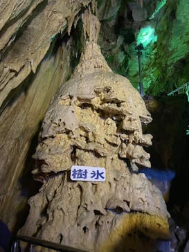 あぶくま洞に投稿された画像（2023/5/5）