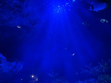 マリンワールド海の中道に投稿された画像（2023/5/5）