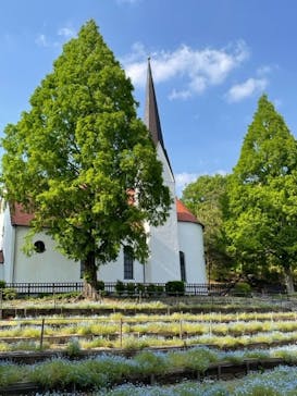 野外民族博物館 リトルワールドに投稿された画像（2023/5/5）