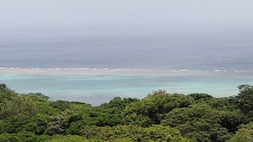 今帰仁城跡に投稿された画像（2023/5/5）